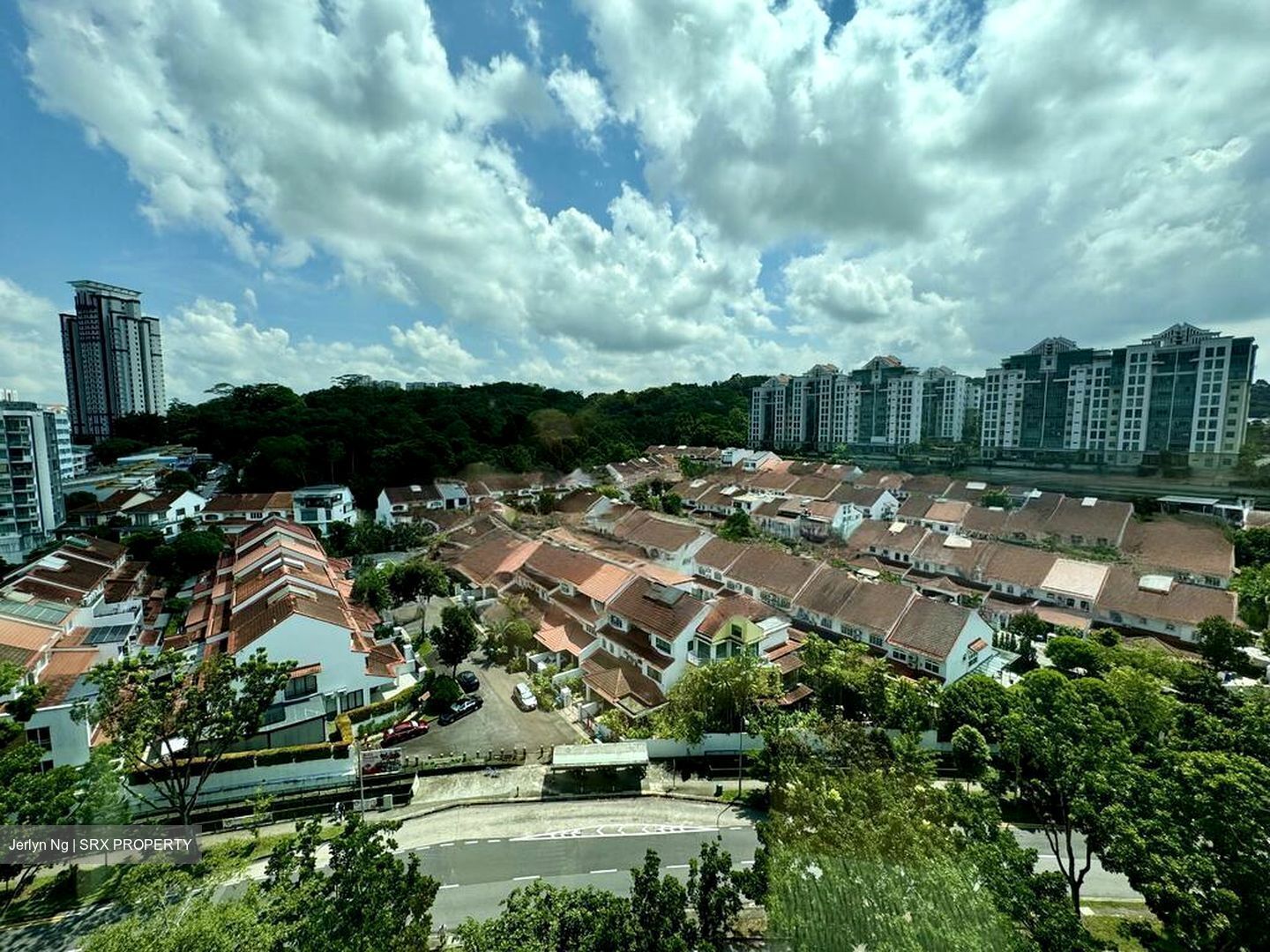 The Petals (D23), Condominium #483533641